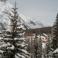 1327847812-DSC06387 