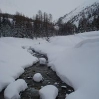 1327853841-DSC06389 