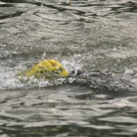 1378575816-IMG_4255 