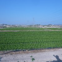 1395229362-P1060430 