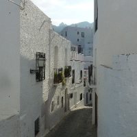 1395354998-P1060484 