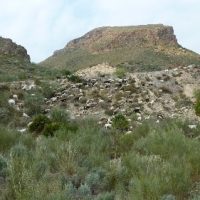1395355090-P1060494 