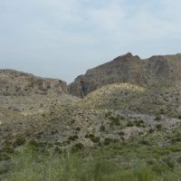 1395355105-P1060498 
