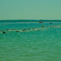 1402839383-DSCF1666 