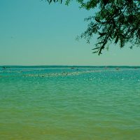 1402839388-DSCF1667 