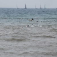 1405281868-DSC_0966 