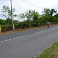 1464808132-P1030560 