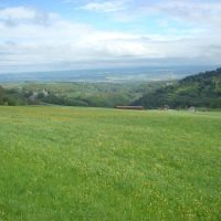 DSC09008 