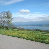 DSC09033 