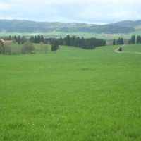 DSC09059 