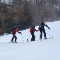 DSCF0609 
