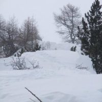 DSCF0614 