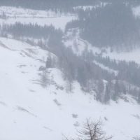 DSCF0615 
