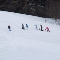 DSCF0617 