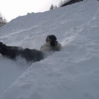 DSCF0622 