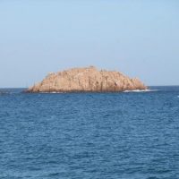 DSCF1005 