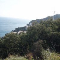 DSCF1031 