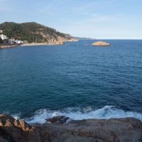 DSCF1061 