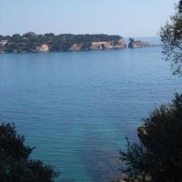 DSCF1113 