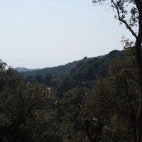 DSCF1129 