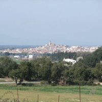 DSCF1135 