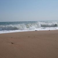 DSCF3639 