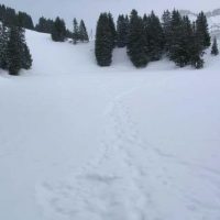 DSCN2415 